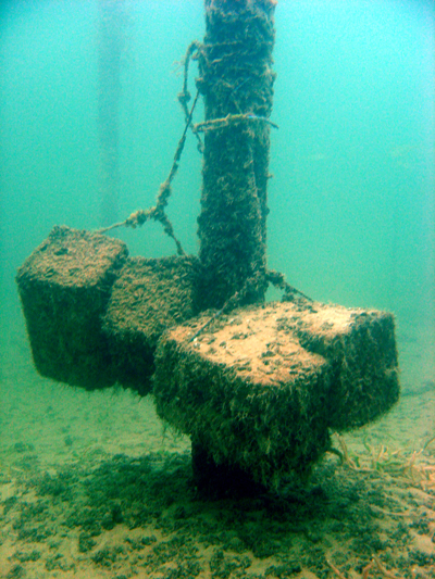 Manche Fischreiser sind mit Steinen beschwert